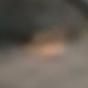 Meet your Posher, Barry